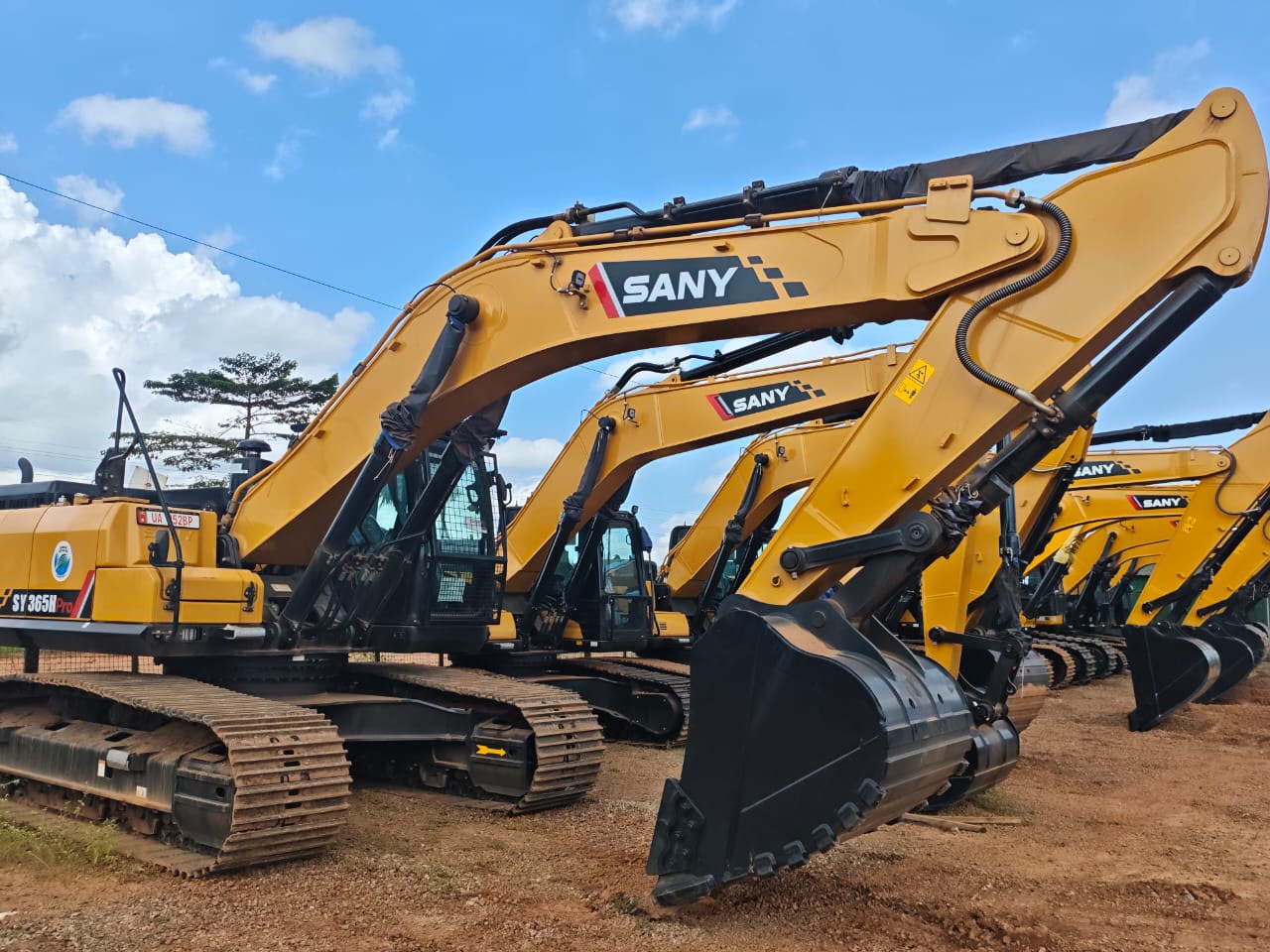 Row of yellow SANY SY365H Pro tracked excavators parked on red earth under a blue sky
